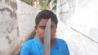PONGAL Effects 2018