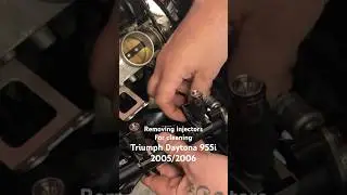 Removing fuel injectors from fuel rail for cleaning. Triumph Daytona 955i 2005 / 2006 #automobile