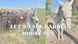 What I Wish More Barrel Horse Sale Ads Included