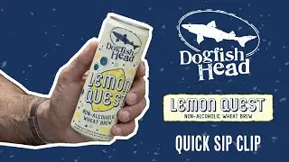 Dogfish Head Quick Sip Clip: Lemon Quest