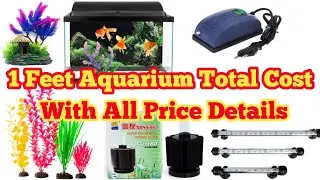 1 Feet Aquarium Total Cost With All Price Details | 1 Feet Aquarium Price | 1 Feet Aquarium
