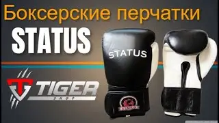 Боксерские перчатки STATUS | TIGERSHOP