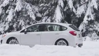 Snow Tires vs All-Seasons Tires with Subaru All-Wheel Drive