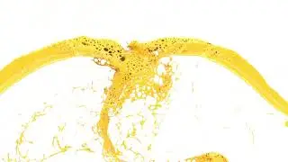 The MBC Group Logo Intro