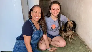 Entrevista Com Larissa dona puma e companhia no programa hoje em dia com Renata Alves completo