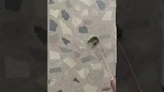 Powerful and Fast Twitching of Large Green Worm