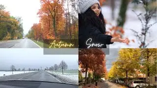 Autumn to Snow. Driving between Heidelberg and Walldorf. Woods. Wandering around. Soothing vlog V.51