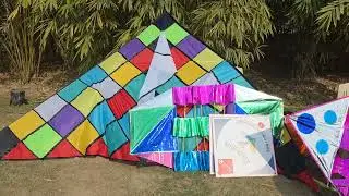 Delhi patang Utsav 2026 #boxkite #delhipatangutsav #uttarayan2026 #kitefestival 