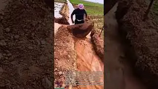 How to prevent water || Irrigation techniques