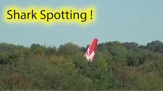 😲 Shark Spotting at Manchester Airport