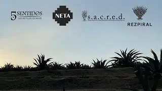 Certifiably Delicious: A conversation about heritage agave spirits