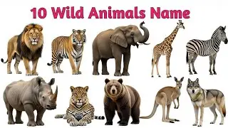 जंगली जानवरों के नाम | Learn 10 Wild Animals Name with Spelling| wild Animals Name For Kids.