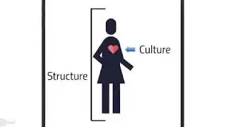 Bussiness culture and short / long term goals