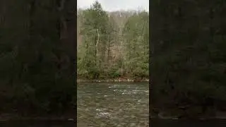Little Beaver Creek at Beaver Creek State Park, Ohio, USA