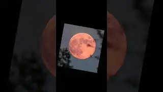 #moon #stopmotion #cinematic #edit #nightcore #nightcoremusic #space #fypシ #spaceflight #луна