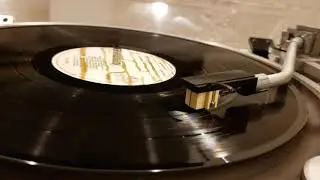 Denon dl 303 /TOKYO SOUND PE700  フォノイコライザー