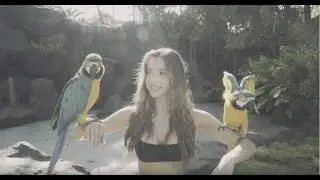 Tour Aruba with SI Swim Model Alexis Ren