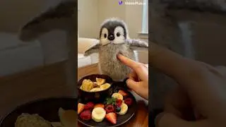 Little penguin ice cream 🍦 #cute #adoreble #fluffy #penguin #littlewing #funny #viralvideo