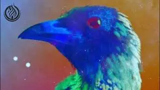 Flume & MAY-A - Say Nothing (SNOWFYRE EDIT)