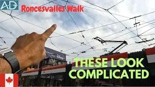 Toronto Walk - Roncesvalles Village to Budapest Park Walking Tour