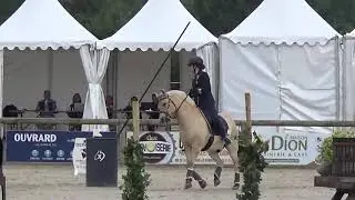 World Championship Working Equitation 2022 in les Herbiers maniabilitè Kertesz Borbala MAROKKO