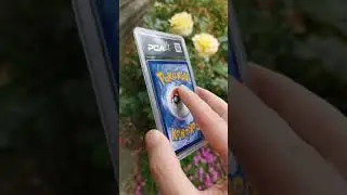 PCA Reshiram & Charizard GX Full Art Reveal