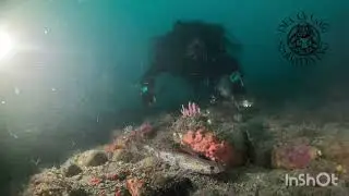 When deep is calling, you answer the call, Spain DC Scuba Diving 