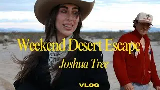 joshua tree weekend vlog 🌵 slow living, home-cooked food & big wishes