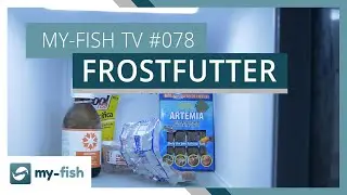 Frostfutter richtig vorbereiten & verfüttern | my-fish TV #078