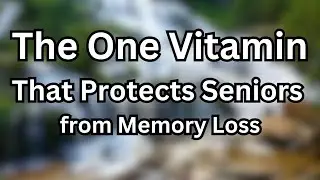 The One Vitamin That Protects Seniors from Memory Loss