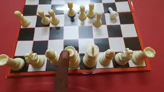 How to arrange the chess coins/how to arrange the chess pieces on board for beginners/for kids