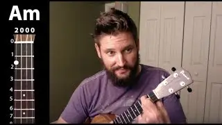 First Day Of My Life - Bright Eyes // EASY UKULELE TUTORIAL
