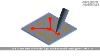 Photosynthetic Bioelectronic Sensors