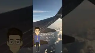 Suspension of all flights across the United States