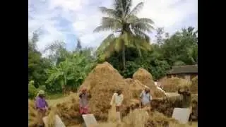 Activity of SHG members.... Agriculture, Handicraft etc.