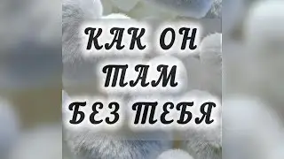 Как он без тебя?.