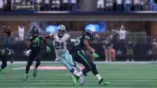 Feed Zeke