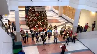 Flash Mob Christmas Music - Edmonton City Centre Mall