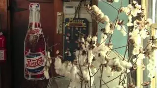Bradley's Country Store, Centerville, FL