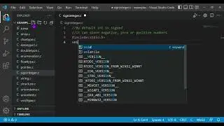 signed int in C