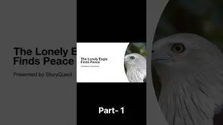The Lonely Eagle Finds Peace.    #story #storytime #storyquest