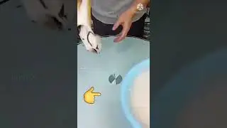 powerful surf jelly