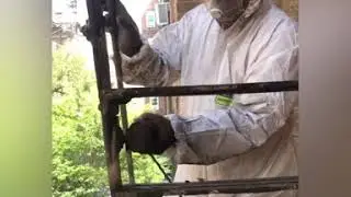 Fire escape painting NY