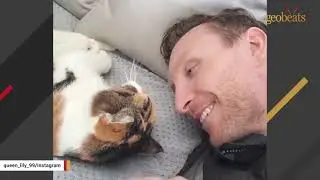 23 Year Old Cat Queen Lily And Her Dad's Story