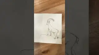 My sketch of a ibex #art #drawing