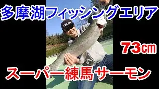 【多摩湖フィッシングエリア】憧れの練馬サーモンが釣れました。