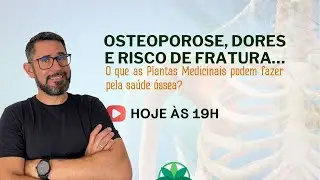 Osteoporose, dores e risco de fratura… O que as Plantas Medicinais podem fazer pela saúde óssea?