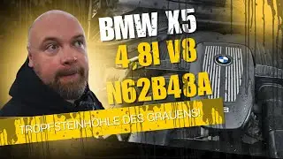 DIE TROPFSTEINH&Ouml;HLE AUS BAYERN! BMW X5 4,8 V8 N62B48 Mehr undicht geht nicht!