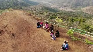 Tamini