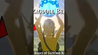 Normal Ragdoll VS Glitched Ragdoll in BotW